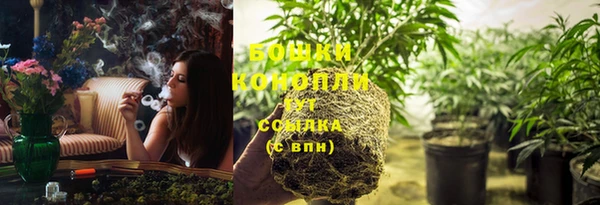 прущие крисы Карпинск