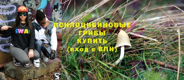мескалин Касимов